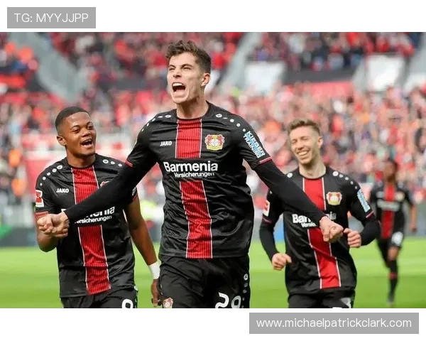 哈弗茨职业轨迹